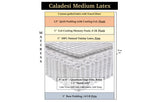 Caladesi Medium Latex, custom mattress