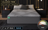 Caladesi Firm Latex, custom mattress