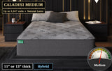 Caladesi Medium Latex, custom mattress