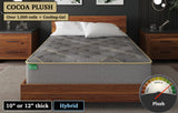 Cocoa Plush, custom mattress