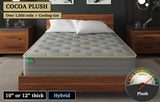 Cocoa Plush, custom mattress