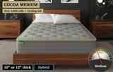 Cocoa Medium (custom foam design) - 60" x 71.5" x 8" mattress w/ two radius corners