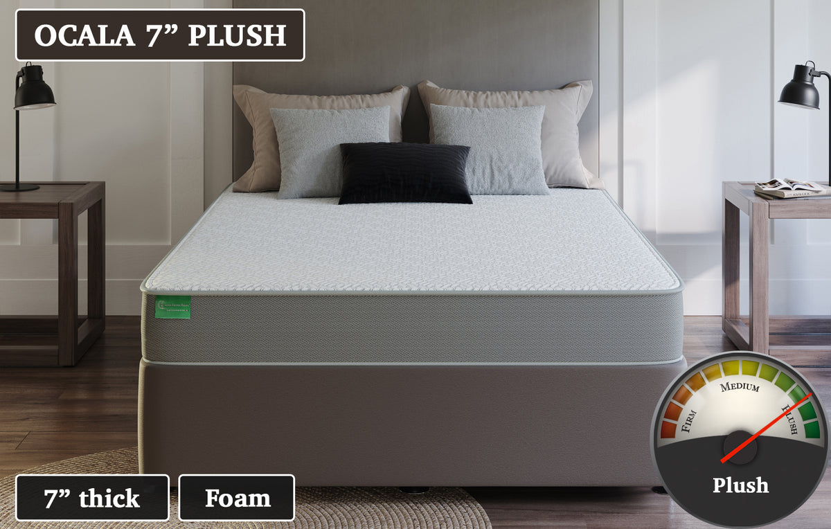 Ocala 7" Plush, custom mattress