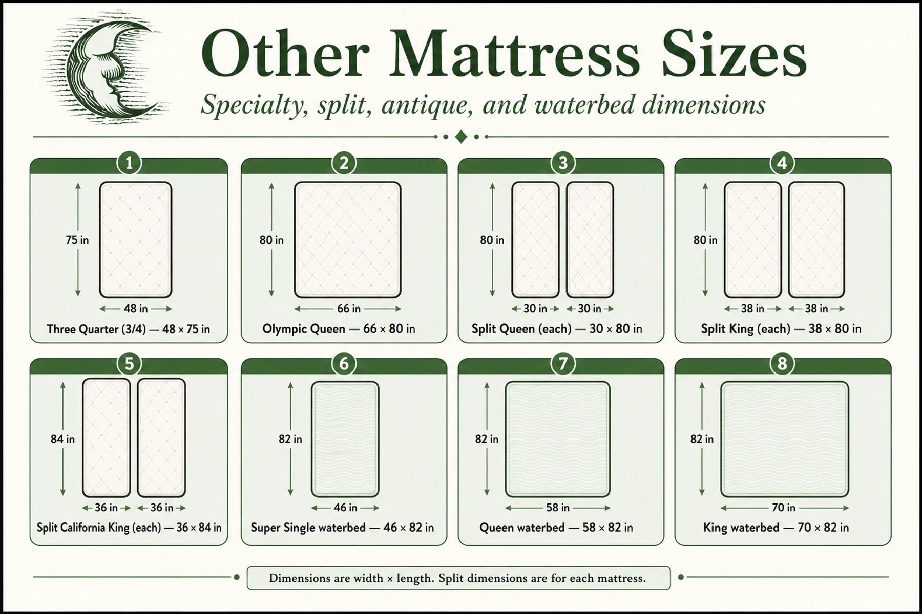 Specialty mattress sizes infographic showing three-quarter, Olympic Queen, split, and waterbed dimensions